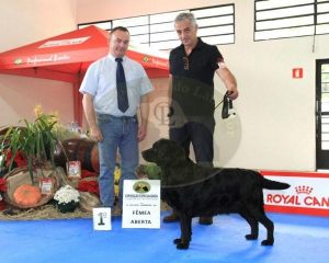 20ª Exposição Especializada do CPL Parte 2