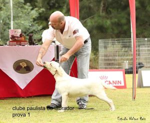 21ª Exposição Especializada do CPL Part. 1